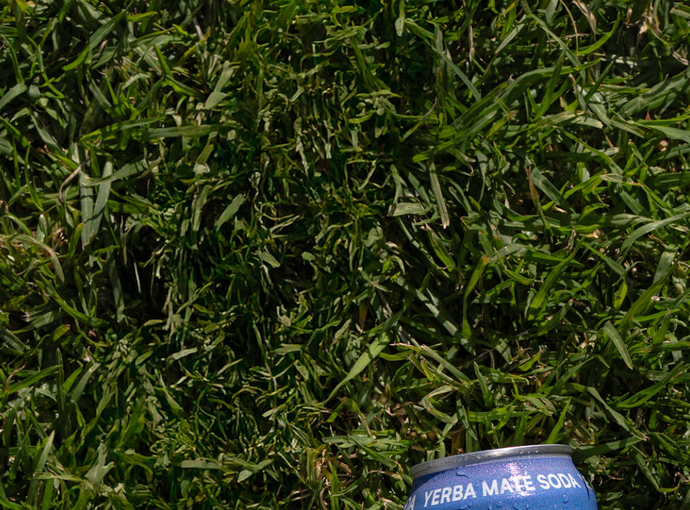 Clean Green Grass & Perla
